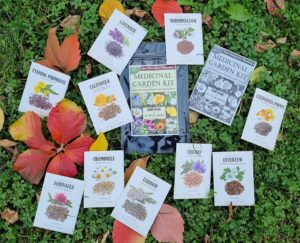 Medicinal Garden Kit by Nicole Apelian - Medicinal Garden Kit