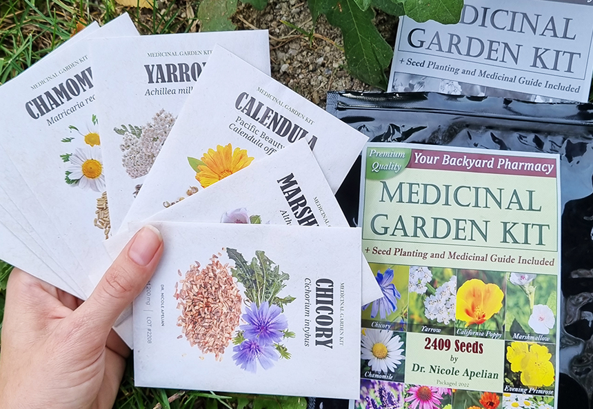 Medicinal Garden Kit by Nicole Apelian - Medicinal Garden Kit